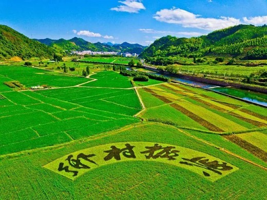 “国家乡村振兴局”4.jpg